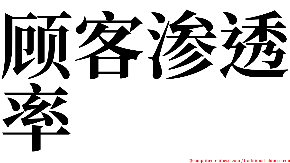 顾客渗透率 serif font