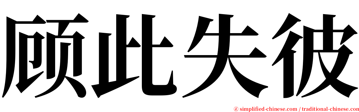 顾此失彼 serif font