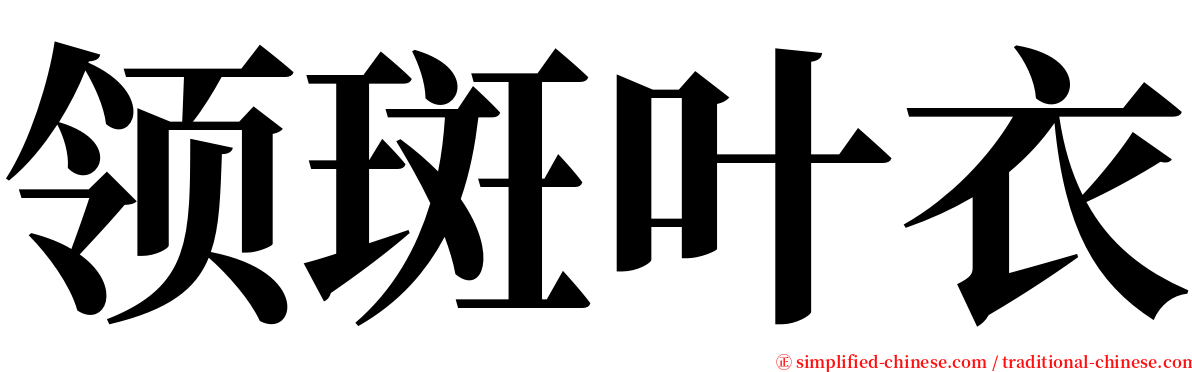 领斑叶衣 serif font