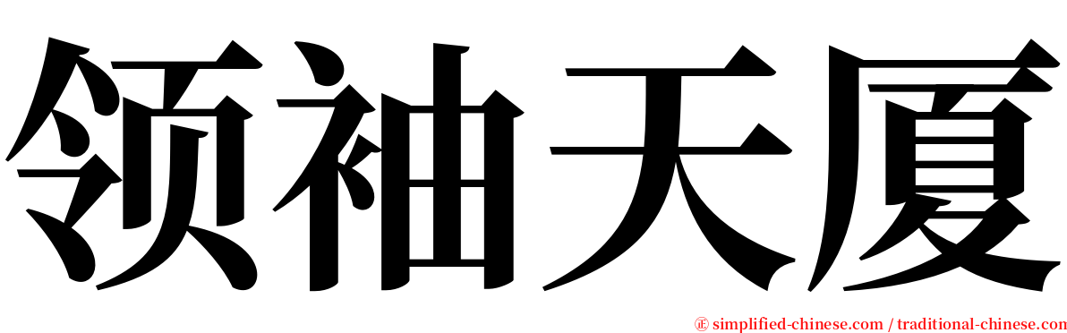 领袖天厦 serif font