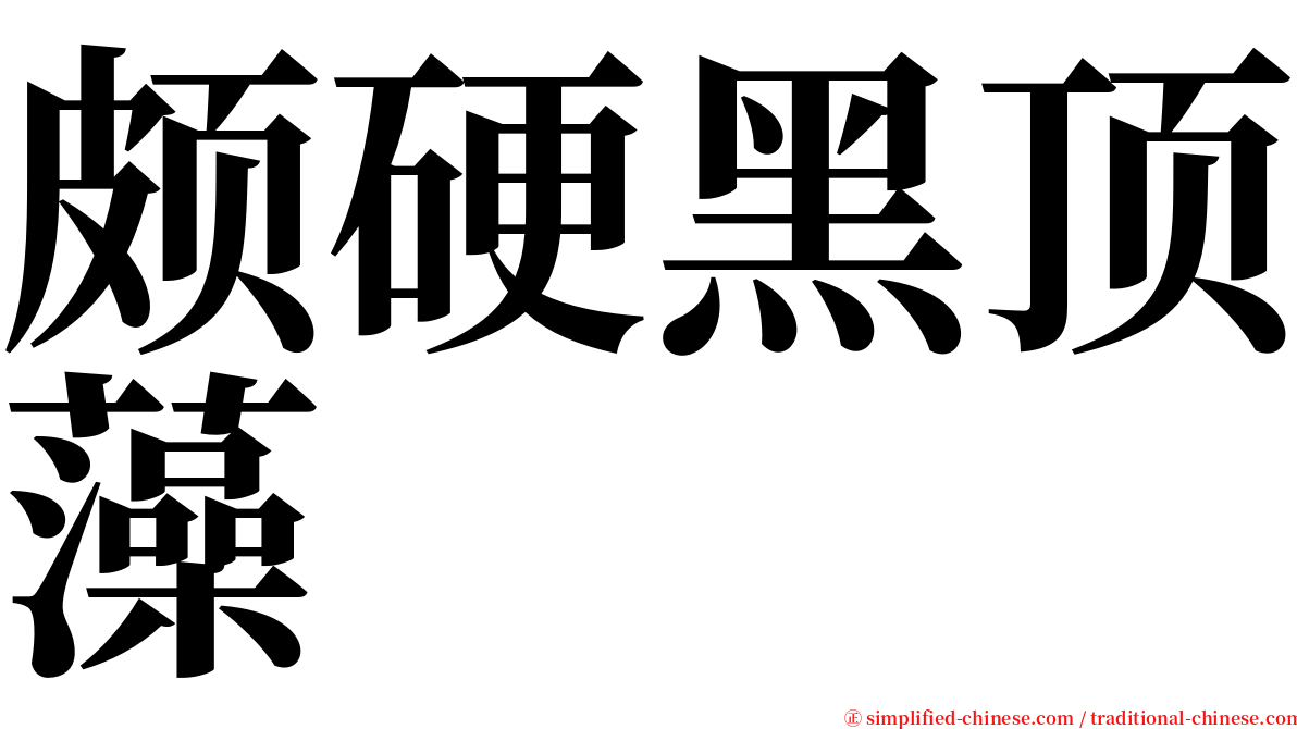 颇硬黑顶藻 serif font