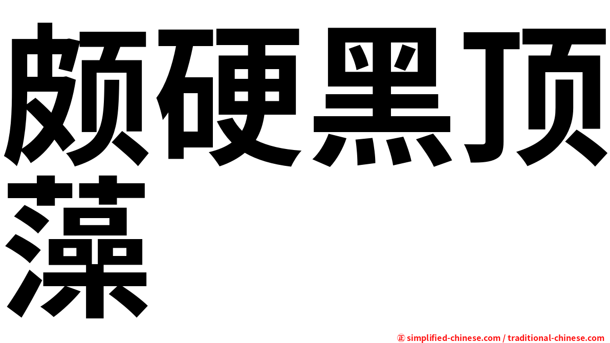 颇硬黑顶藻