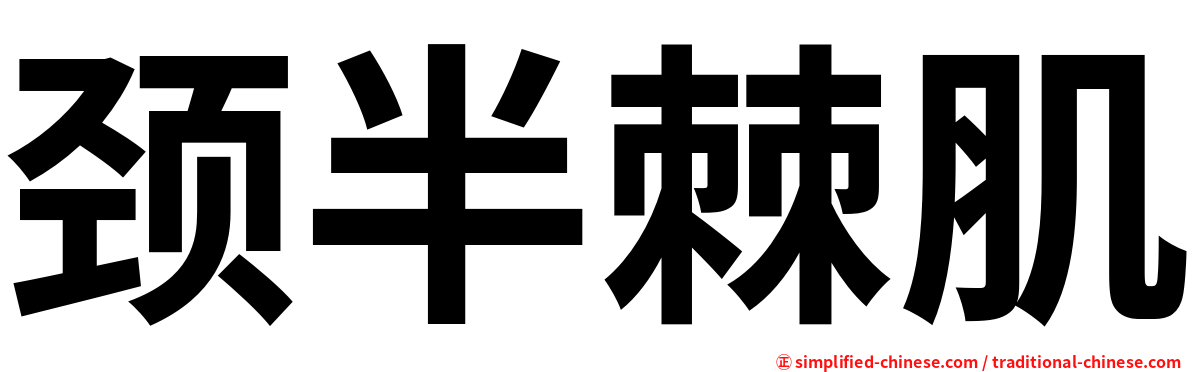 颈半棘肌