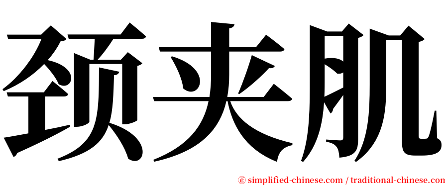 颈夹肌 serif font