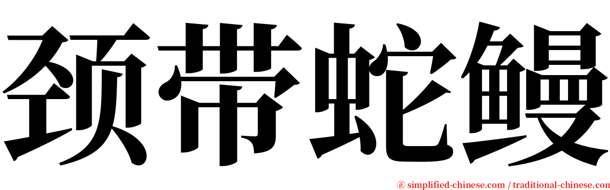颈带蛇鳗 serif font