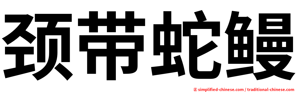 颈带蛇鳗