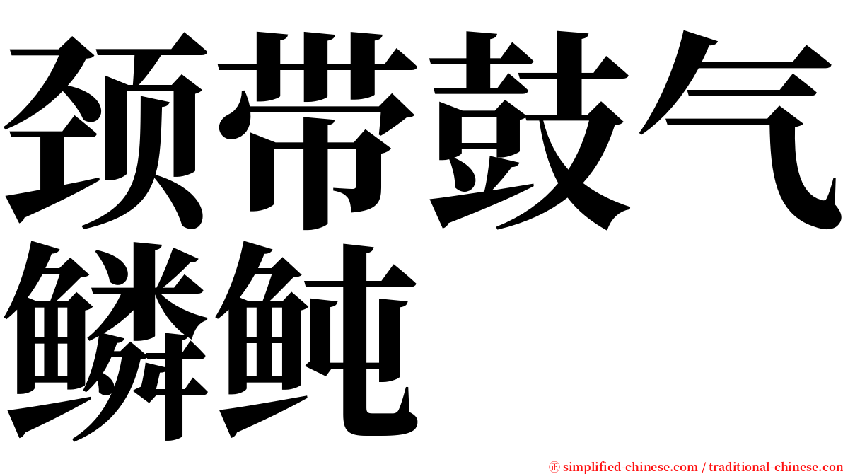 颈带鼓气鳞鲀 serif font