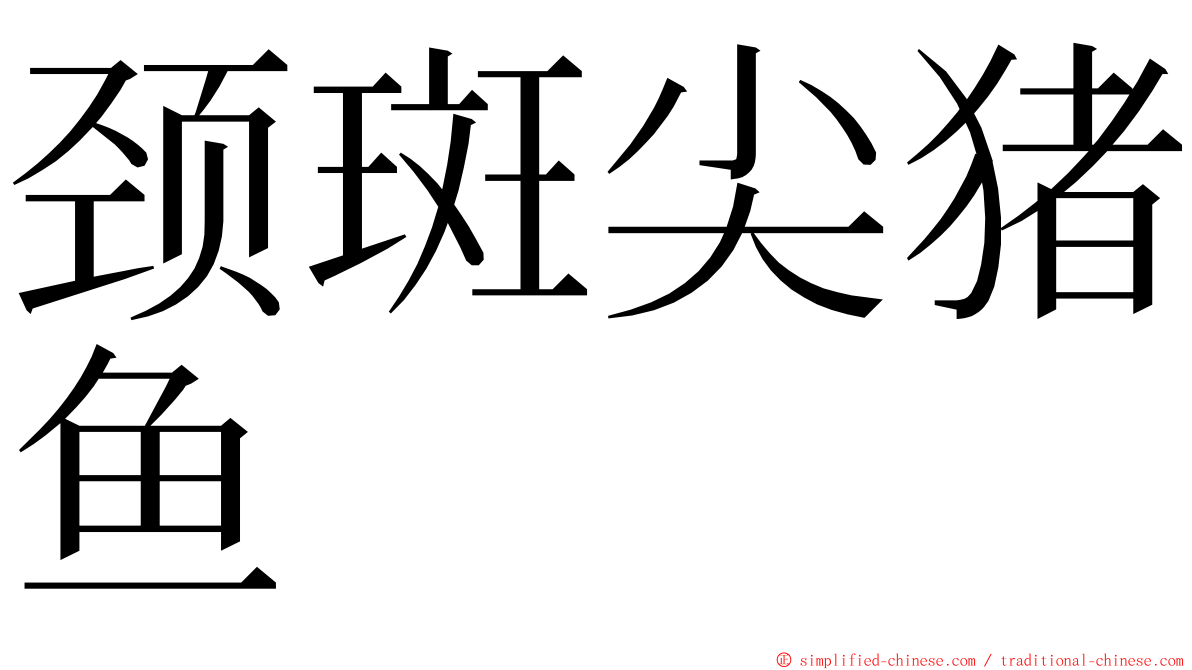 颈斑尖猪鱼 ming font