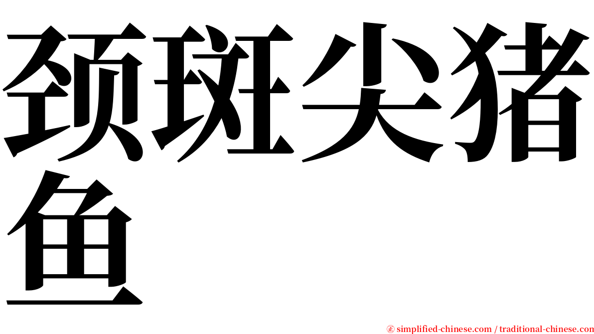 颈斑尖猪鱼 serif font