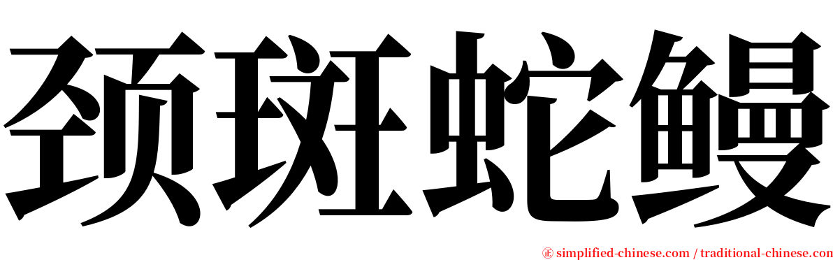 颈斑蛇鳗 serif font