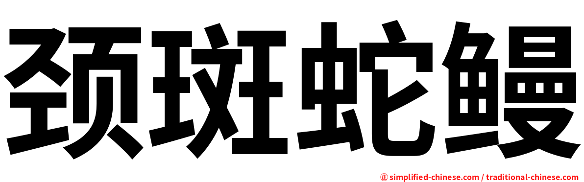 颈斑蛇鳗