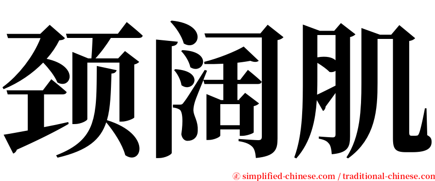 颈阔肌 serif font