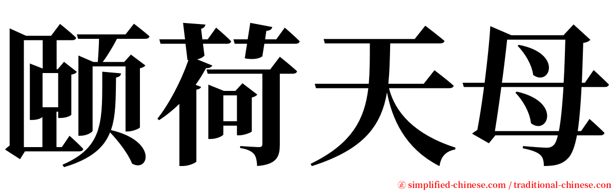 颐荷天母 serif font