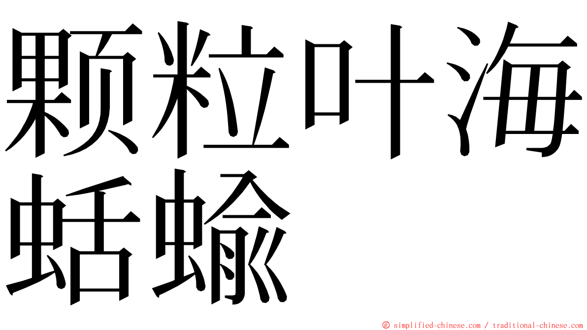 颗粒叶海蛞蝓 ming font