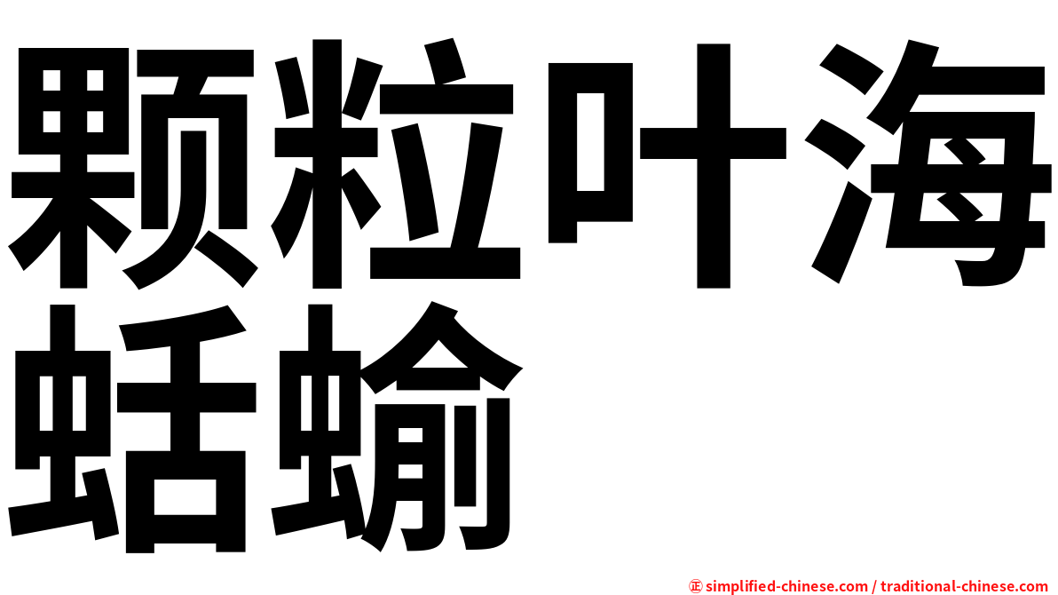颗粒叶海蛞蝓