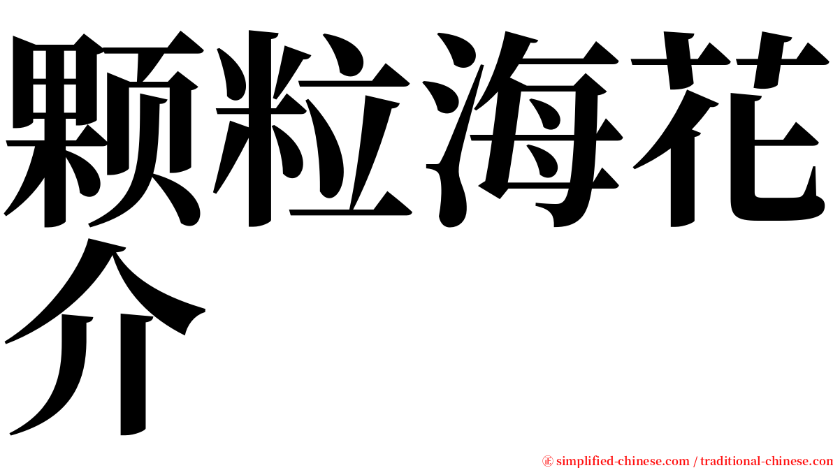 颗粒海花介 serif font