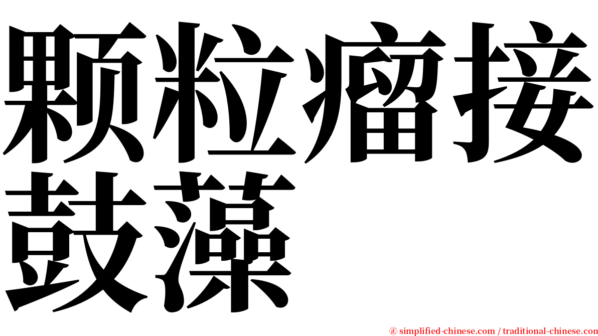 颗粒瘤接鼓藻 serif font