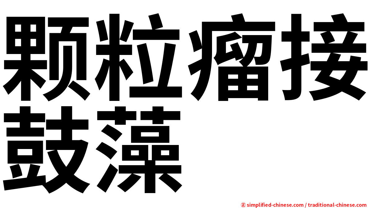 颗粒瘤接鼓藻