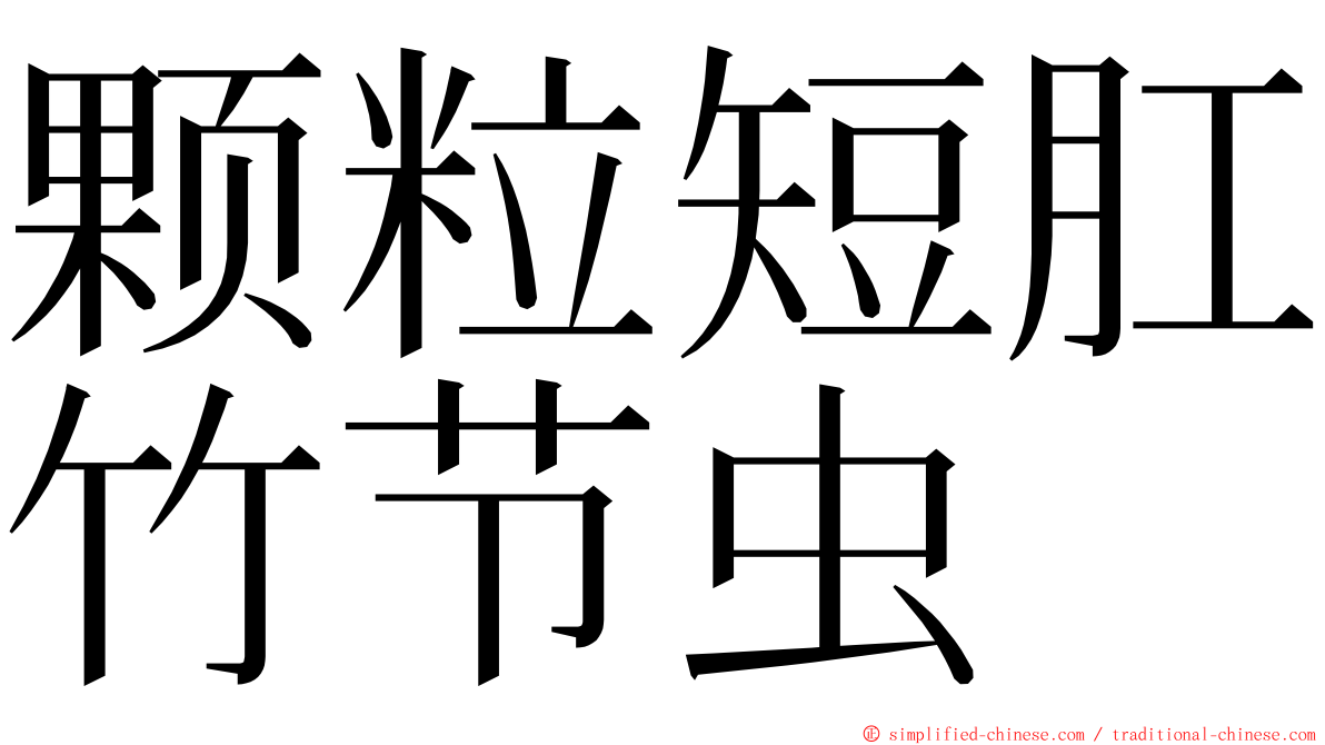 颗粒短肛竹节虫 ming font