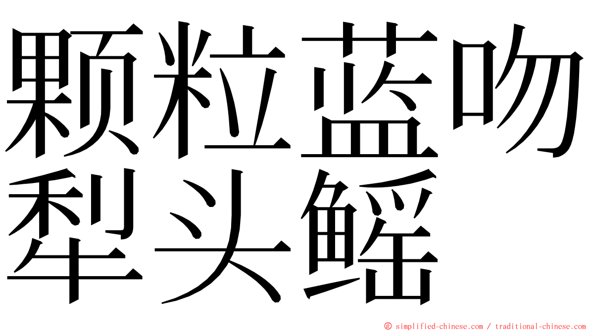 颗粒蓝吻犁头鳐 ming font
