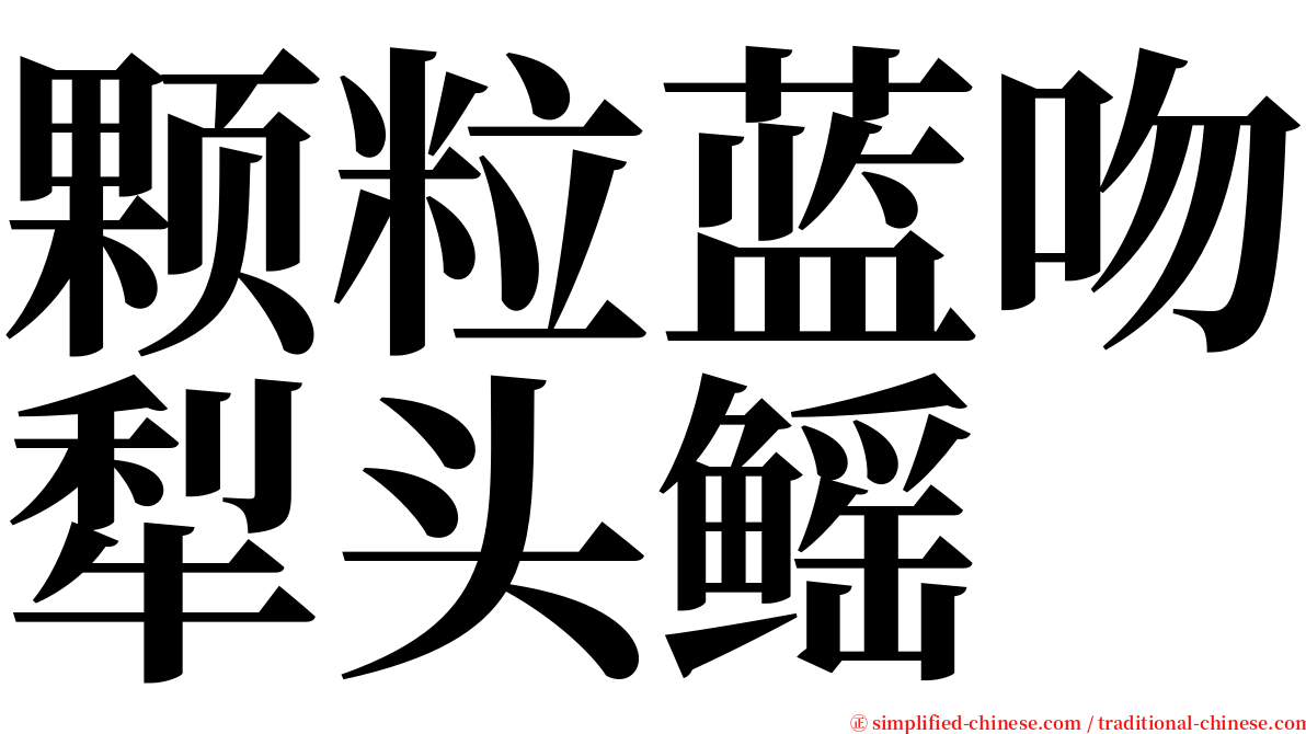 颗粒蓝吻犁头鳐 serif font
