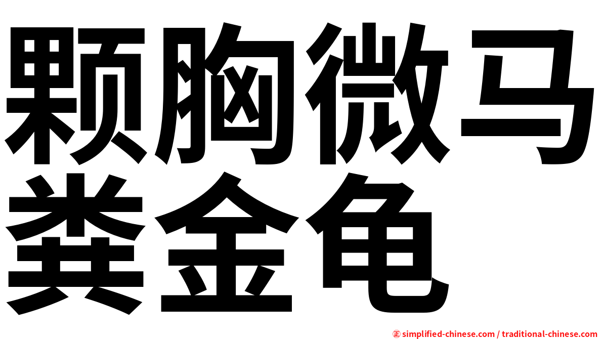 颗胸微马粪金龟