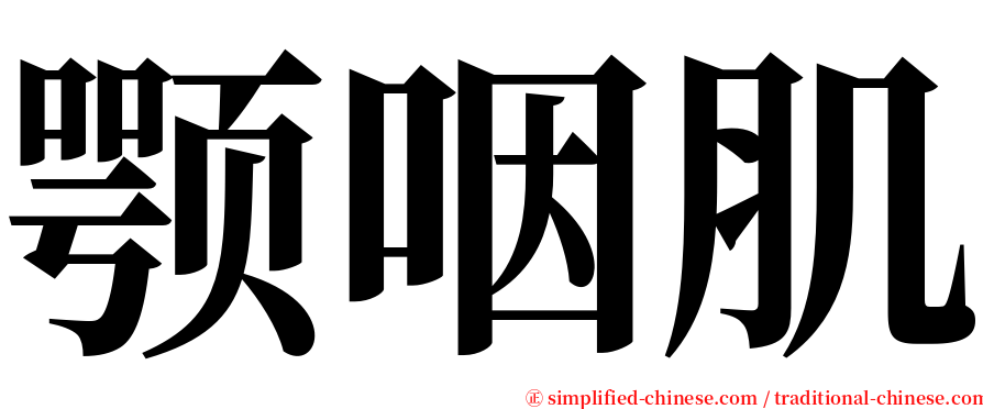 颚咽肌 serif font