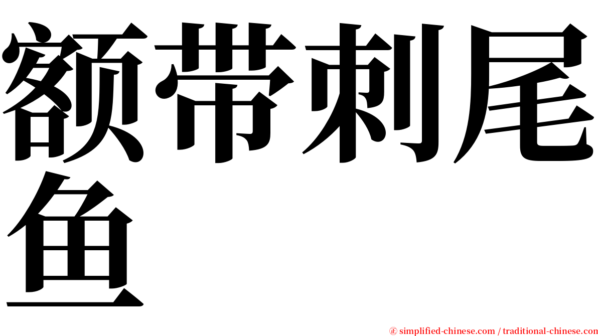 额带刺尾鱼 serif font