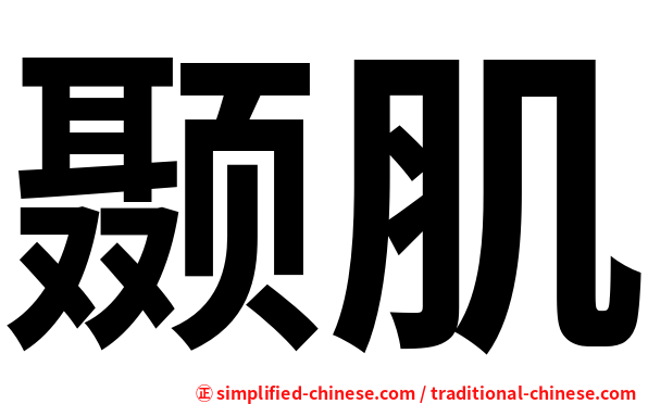 颞肌