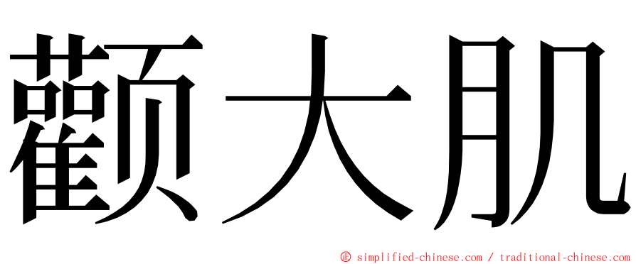 颧大肌 ming font