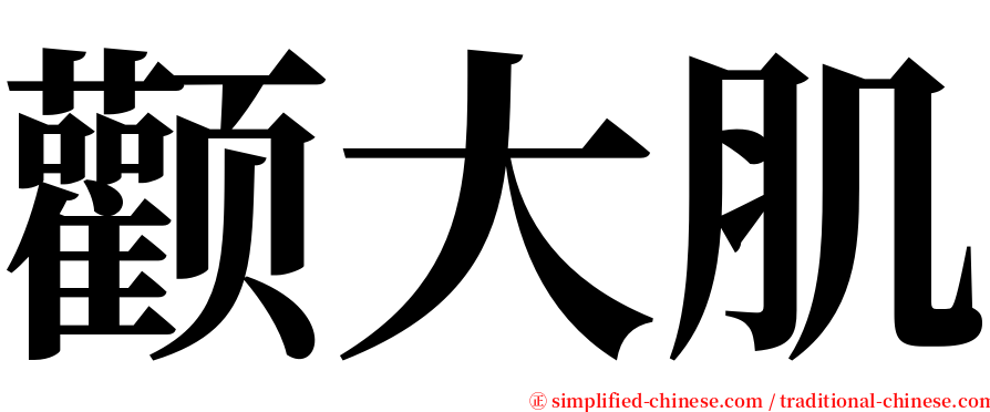 颧大肌 serif font