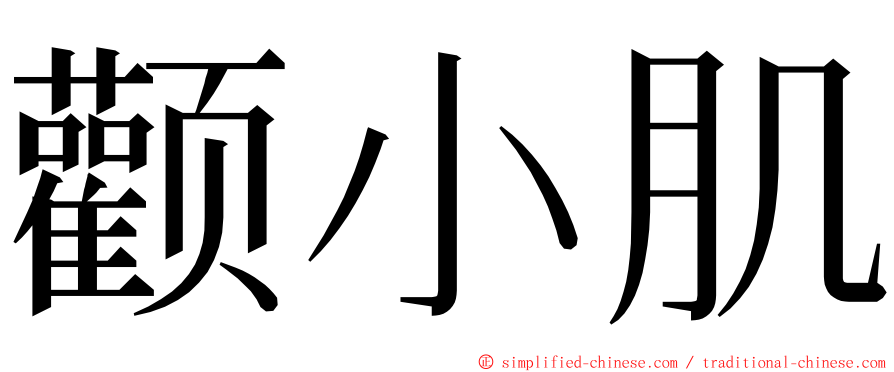 颧小肌 ming font