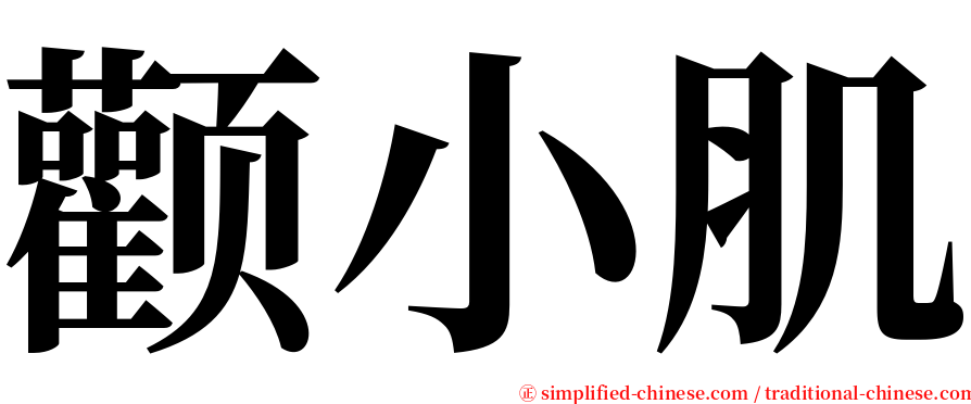 颧小肌 serif font