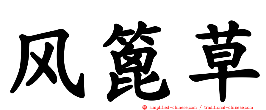 风篦草
