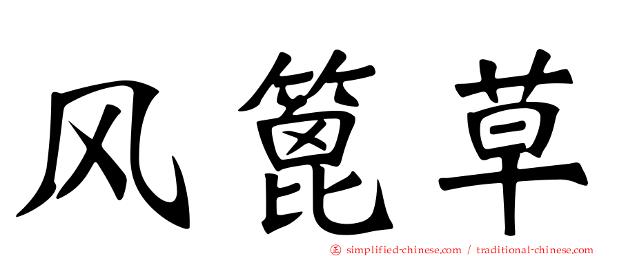 风篦草