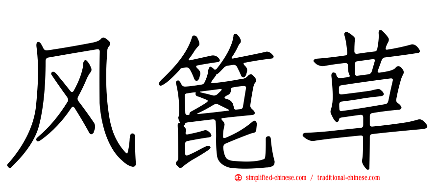 风篦草