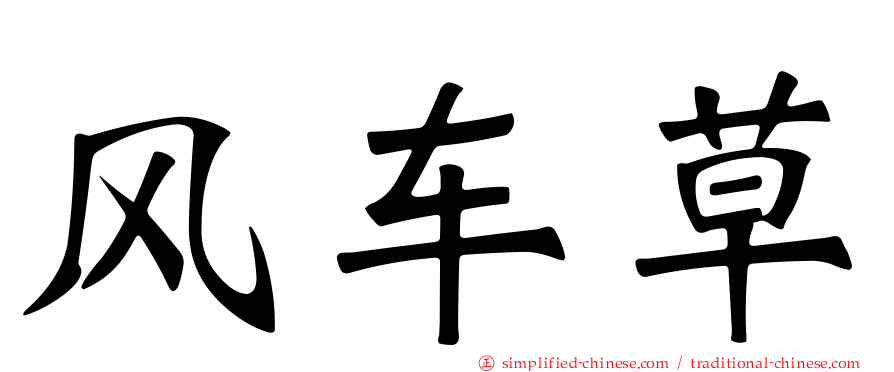 风车草