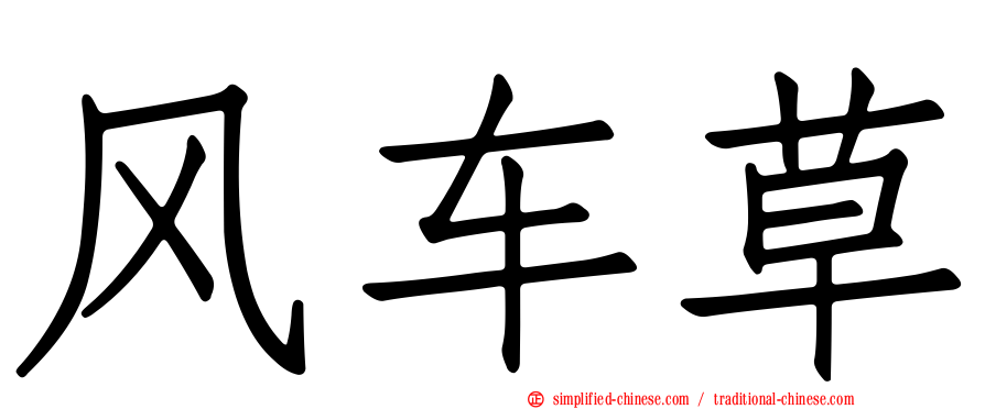 风车草