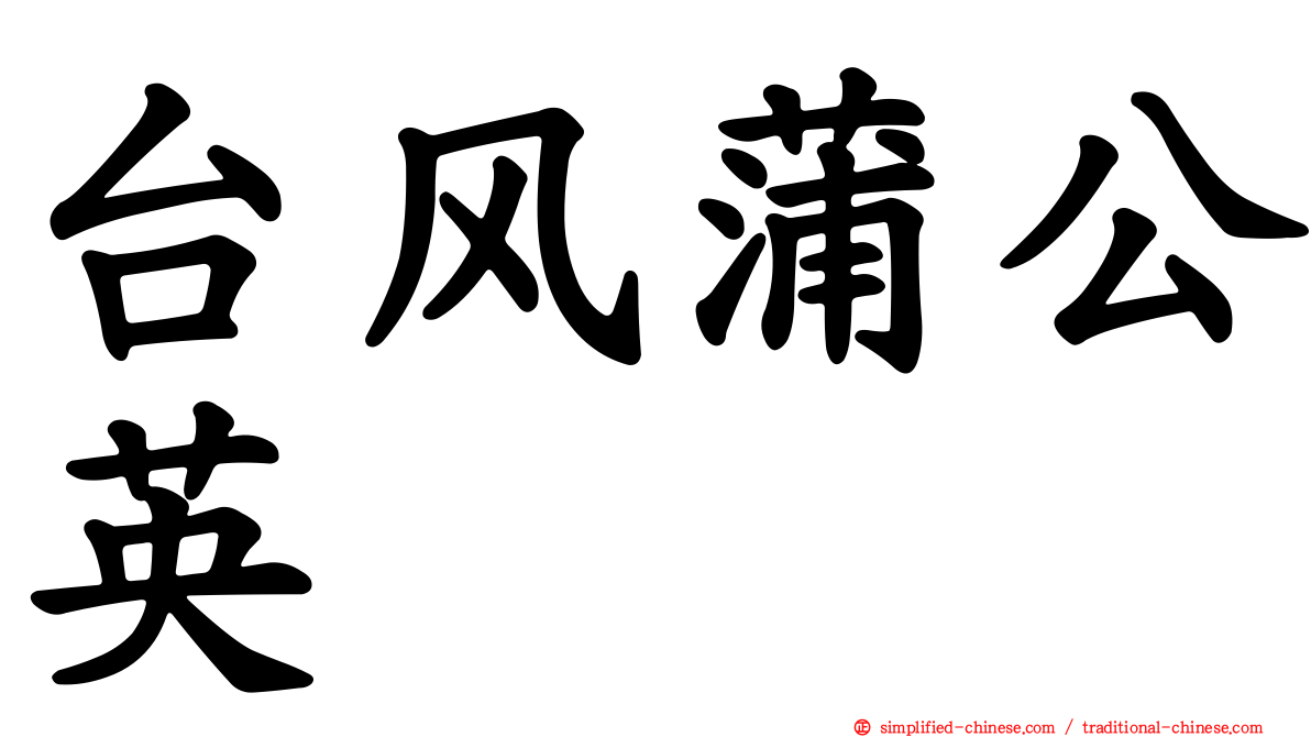 台风蒲公英
