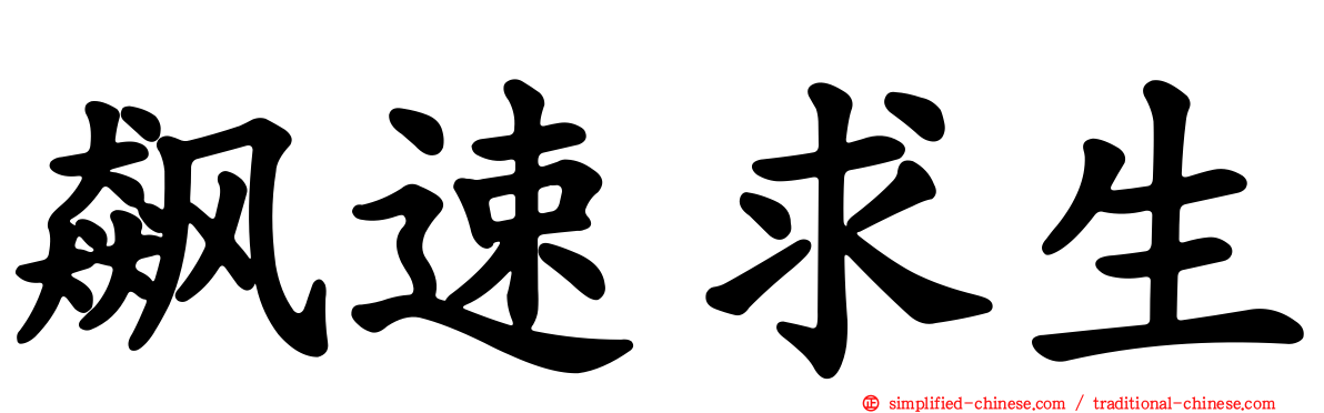 飙速求生