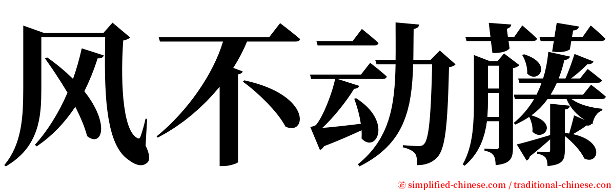 风不动藤 serif font