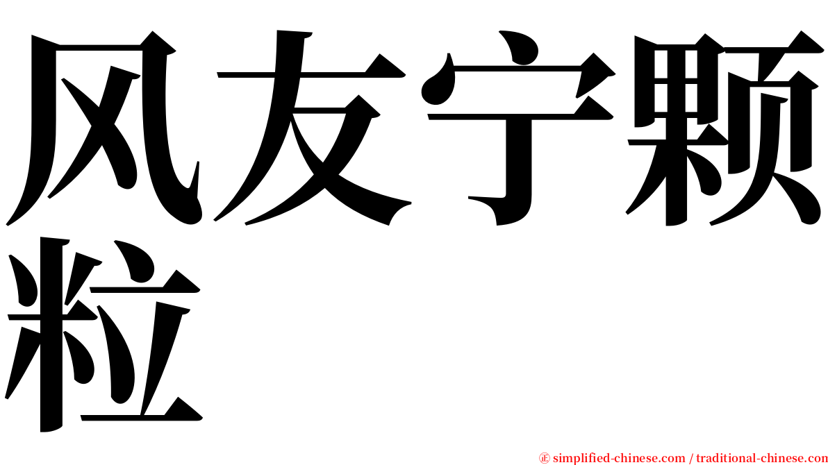 风友宁颗粒 serif font