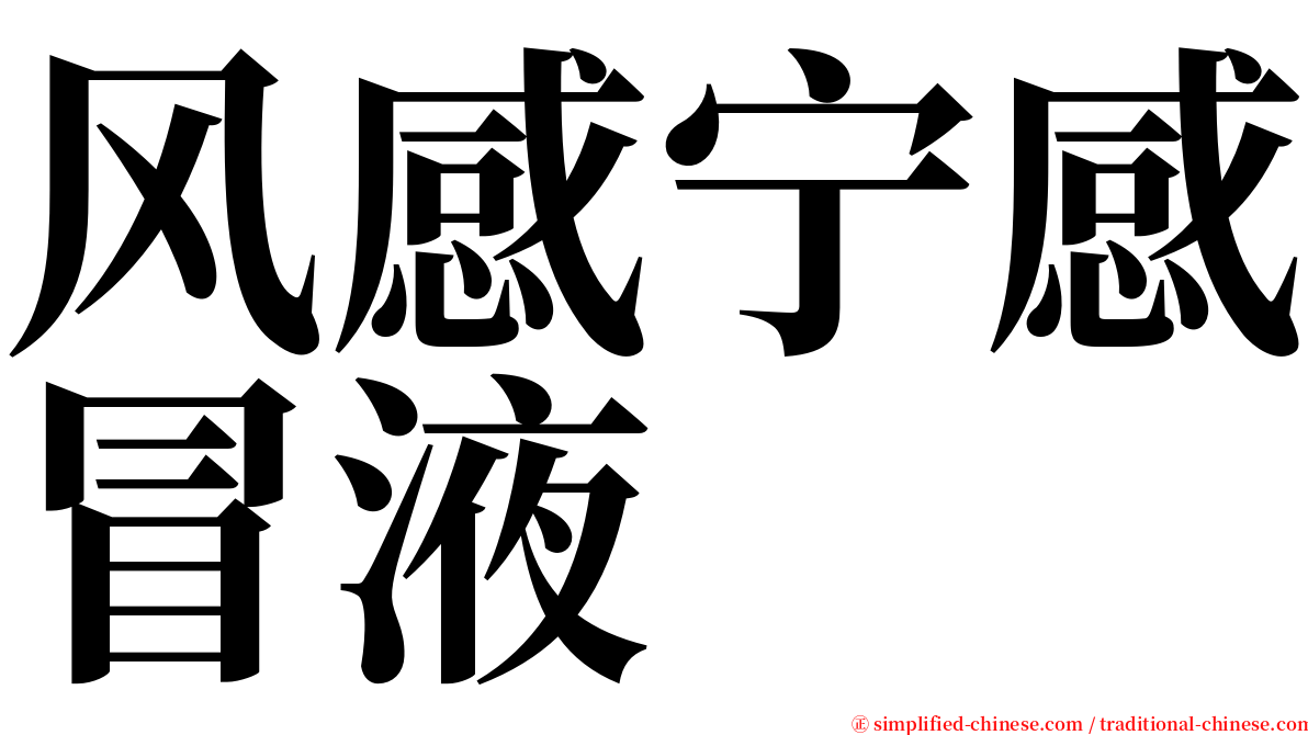 风感宁感冒液 serif font