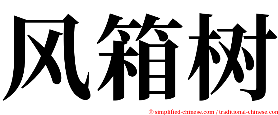 风箱树 serif font