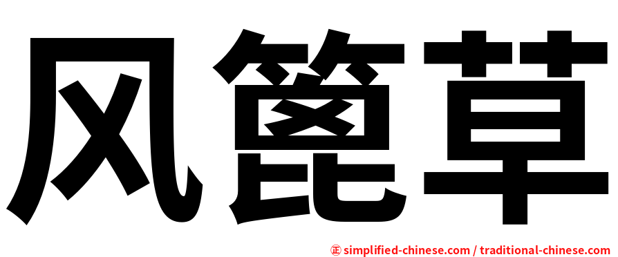 风篦草