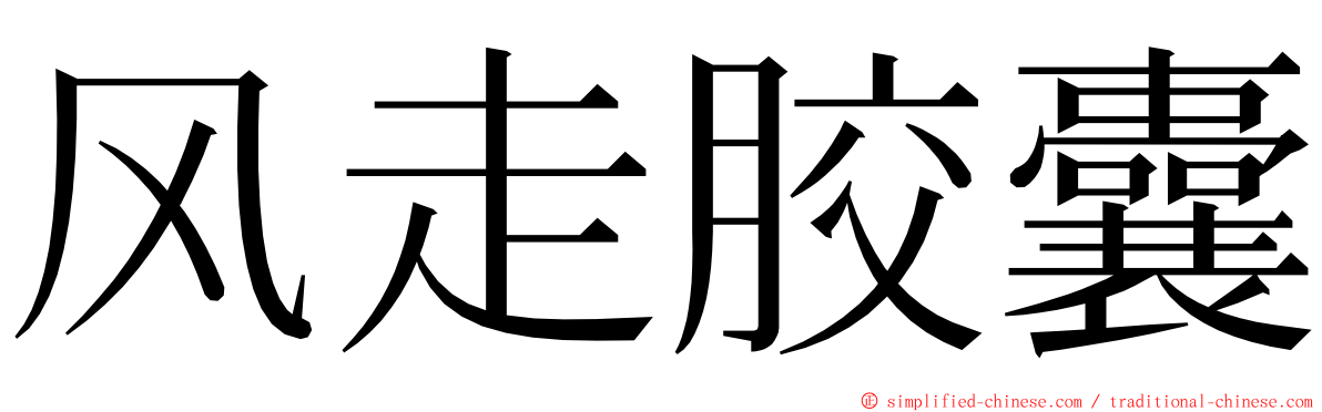 风走胶囊 ming font