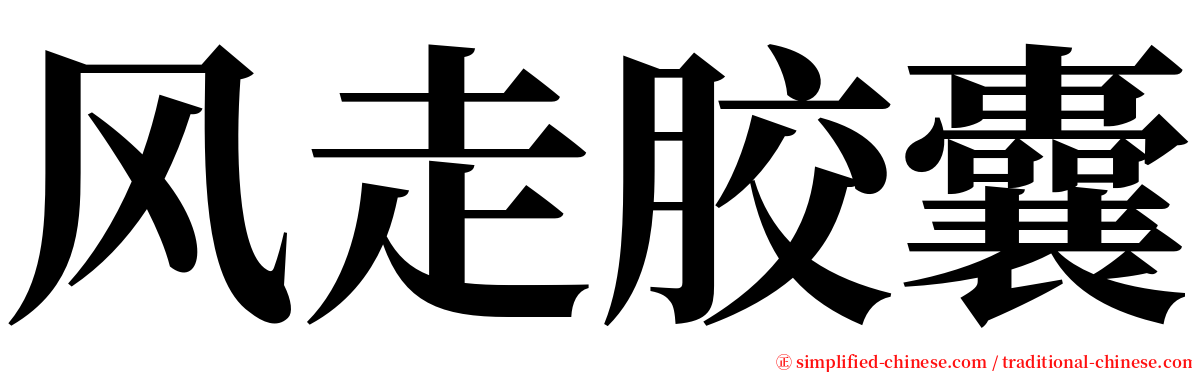 风走胶囊 serif font