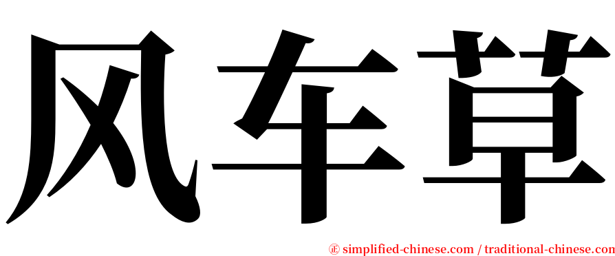 风车草 serif font
