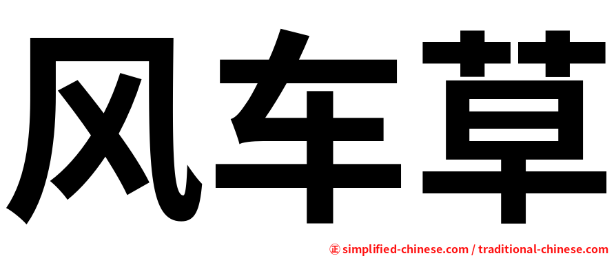 风车草