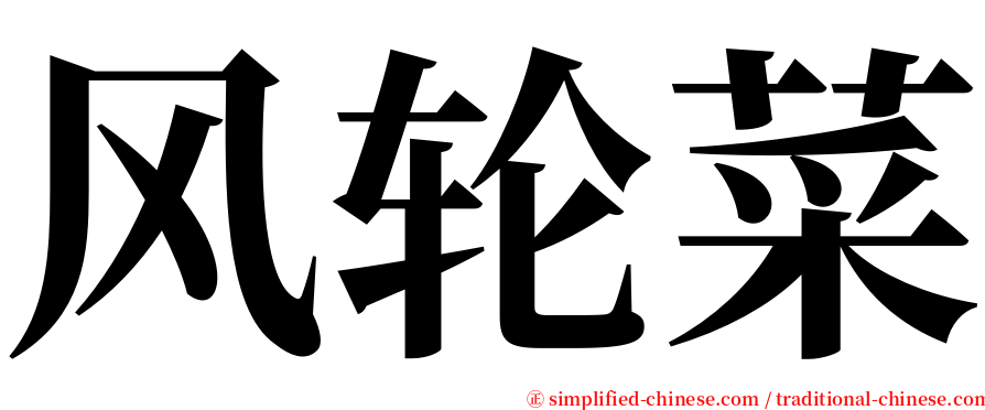 风轮菜 serif font